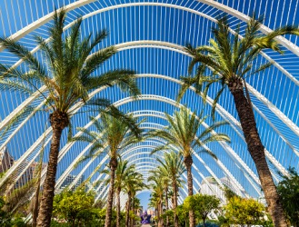 The architectural structure of the Umbracle in Valencia, Spain is an example of a parabola. The architectural structure of the Umbracle in Valencia, Spain is an example of a parabola.