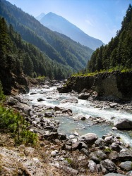 The stream at the piedmont is a beautiful place to hike. The stream at the piedmont is a beautiful place to hike.