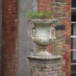 An urn on top of a plinth. An urn on top of a plinth.