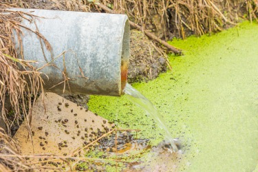 Polluted runoff draining into a waterway. Polluted runoff draining into a waterway.