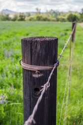 A fence post A fence post
