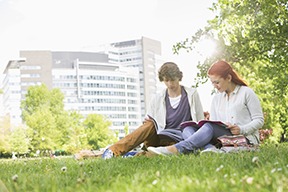 College students studying on campus at a postsecondary school. College students studying on campus at a postsecondary school.