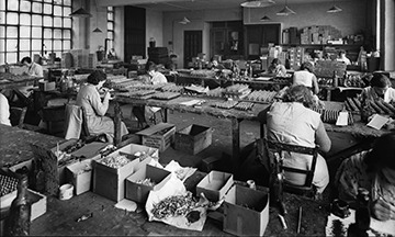 Women working in a preindustrial toy soldier factory in the 1930's. Women working in a preindustrial toy soldier factory in the 1930's.