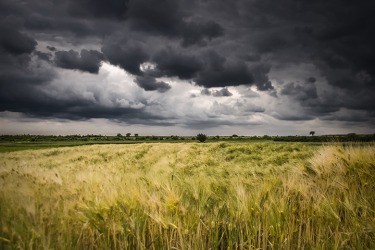There is a high probability of rain. There is a high probability of rain.