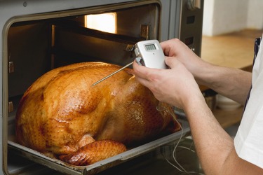 A person putting a probe thermometer into a turkey to check the temperature for doneness. A person putting a probe thermometer into a turkey to check the temperature for doneness.