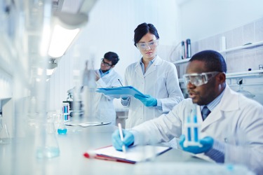 The processual steps to perform the experiment were followed with precision by the scientists. The processual steps to perform the experiment were followed with precision by the scientists.