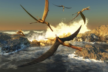 Pterosaurs Pterosaurs