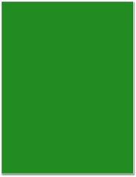 Forest green Forest green