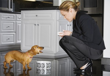 She hoped to quell her dog's barking by giving him food. She hoped to quell her dog's barking by giving him food.