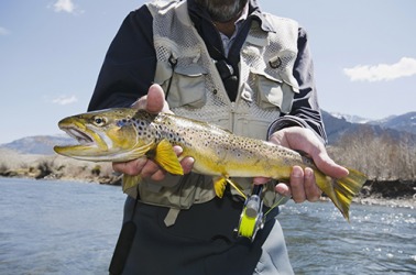 The fisherman was careful to adhere to the quota set by the Fish and Wildlife Service. The fisherman was careful to adhere to the quota set by the Fish and Wildlife Service.