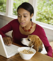 Denise was replying to an email when she was interrupted by her dog Dexter. Denise was replying to an email when she was interrupted by her dog Dexter.