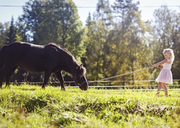 Despite her insistent coaxing, Millie couldn't get her restive pony to move. Despite her insistent coaxing, Millie couldn't get her restive pony to move.