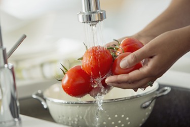 Water is used as a rinser to remove any pesticide residue on the tomatoes. Water is used as a rinser to remove any pesticide residue on the tomatoes.