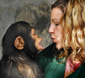 The risible sounds coming from the chimpanzee make him appear almost human. The risible sounds coming from the chimpanzee make him appear almost human.