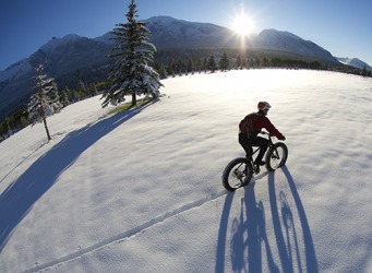 The bicyclist made a rut in the fresh snow with his fat tire bike. The bicyclist made a rut in the fresh snow with his fat tire bike.