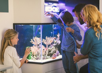 It is very important to monitor the salinity of a salt water fish tank in order to keep the fish and coral healthy. It is very important to monitor the salinity of a salt water fish tank in order to keep the fish and coral healthy.
