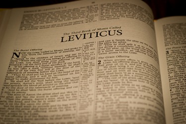 In the Bible, the Book of Leviticus mentions scall. In the Bible, the Book of Leviticus mentions scall.