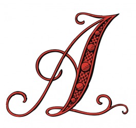 Image result for scarlet letter