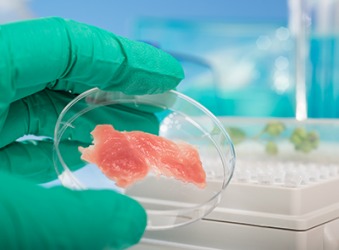This meat grown from stem cells in a laboratory is an example of schmeat. This meat grown from stem cells in a laboratory is an example of schmeat.