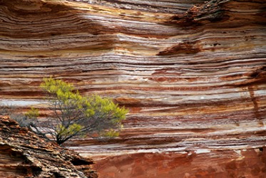 An example of sedimentary rock layers near Kalbarri Western Australia. An example of sedimentary rock layers near Kalbarri Western Australia.