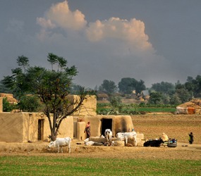 The villages in Punjab are self-sufficient for the most part and rely very little on outside resources. The villages in Punjab are self-sufficient for the most part and rely very little on outside resources.