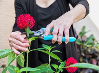 Marlene received a seropositive test result confirming her rheumatoid arthritis diagnosis, but she still works in her garden whenever she can. Marlene received a seropositive test result confirming her rheumatoid arthritis diagnosis, but she still works in her garden whenever she can.