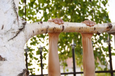 A childs hands hanging from the bough of a tree. A childs hands hanging from the bough of a tree.