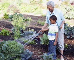 Braylon's grandmother shewed him how to care for a garden. Braylon's grandmother shewed him how to care for a garden.