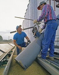 The workers siloed the seed. The workers siloed the seed.