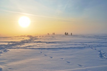 A bright sun shining over the snow. A bright sun shining over the snow.