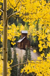 An old building amid fall leaves. An old building amid fall leaves.