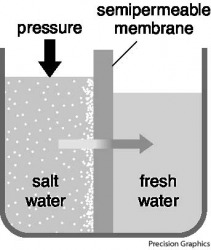 reverse osmosis reverse osmosis