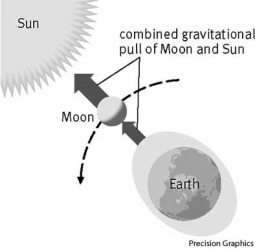 spring tide Spring tides occur when the Sun and Moon are in line with the Earth and their gravitational pulls reinforce each other. spring tide Spring tides occur when the Sun and Moon are in line with the Earth and their gravitational pulls reinforce each other.