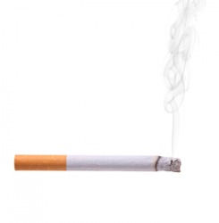 A lit cigarette. A lit cigarette.