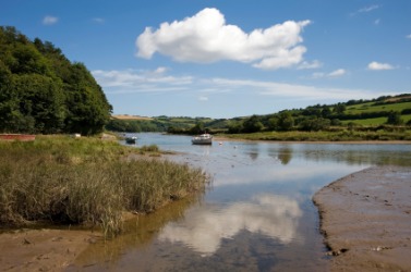 An estuary of the River Devon. An estuary of the River Devon.