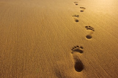 Footprints in the sand. Footprints in the sand.