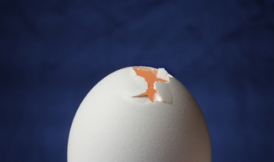 An egg is very fragile. An egg is very fragile.