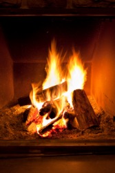 Wood fuels this fire. Wood fuels this fire.