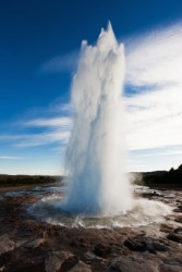 5104.geyser.jpg