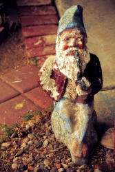 A weathered garden gnome. A weathered garden gnome.