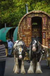 A Gypsy caravan. A Gypsy caravan.