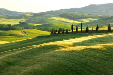 Rolling hills in Tuscany Rolling hills in Tuscany