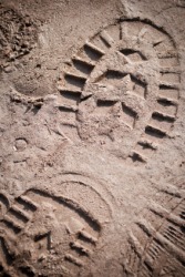 The imprint of a shoe in the mud. The imprint of a shoe in the mud.