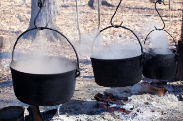 Syrup boiling in kettles over a fire. Syrup boiling in kettles over a fire.