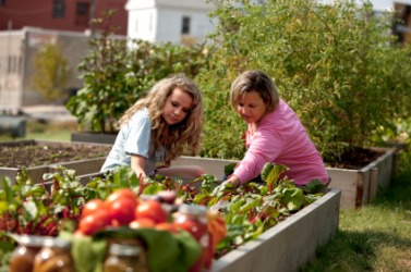 A mother and daughter tend a garden. A mother and daughter tend a garden.