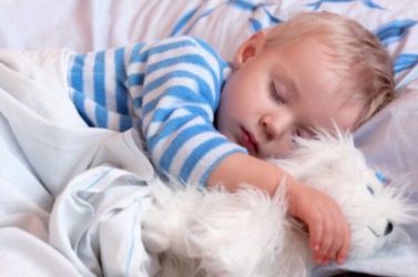 A slumbering child. A slumbering child.