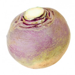 This turnip is also called a neep. This turnip is also called a neep.