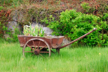 A barrow in a field. A barrow in a field.