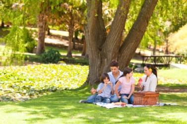 A family enjoying a picnic in the park. A family enjoying a picnic in the park.