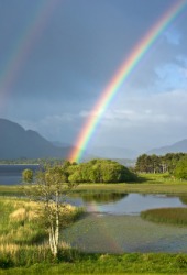 A beautiful rainbow. A beautiful rainbow.